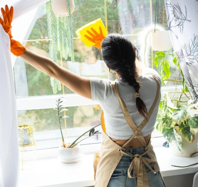 Woman cleaning a sunny window with plants around.